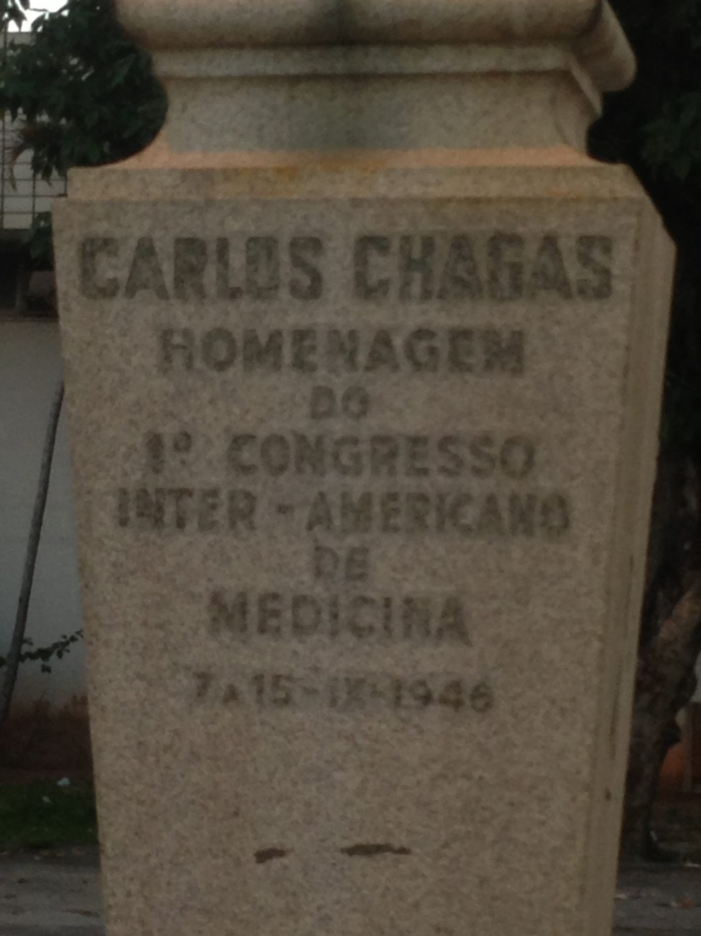 Carlos Chagas' bust (7).JPG